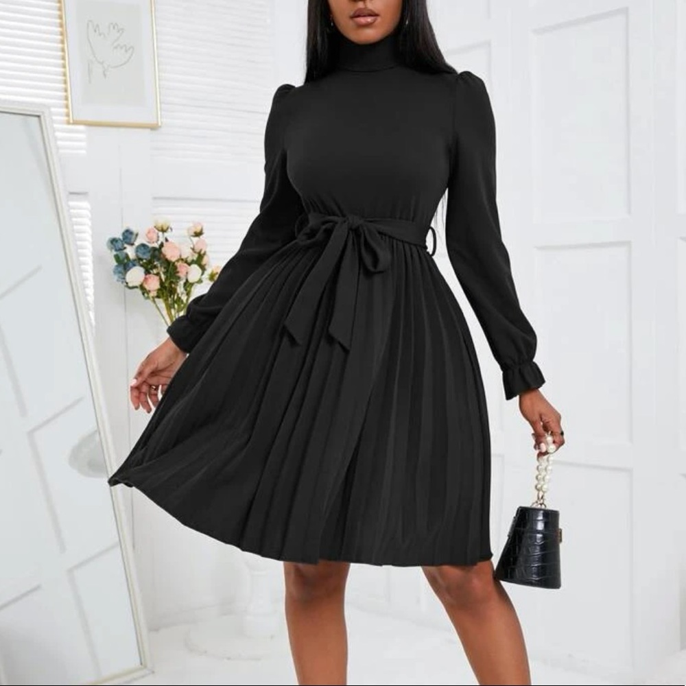 Turtleneck Flounce Sleeve Pleated Hem Dress